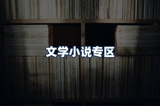 文学小说PDF展示